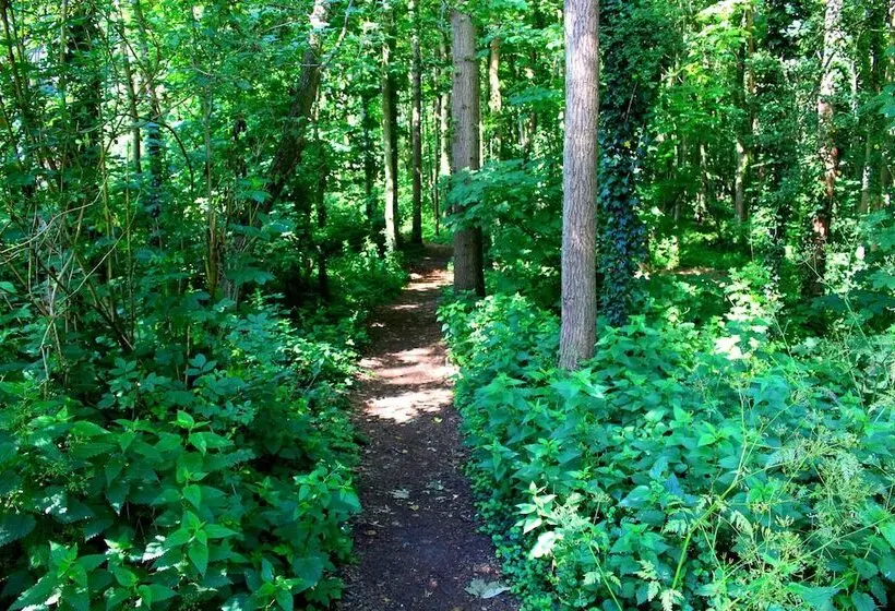 スーペリアールーム, Zoomers Aan Het Bos