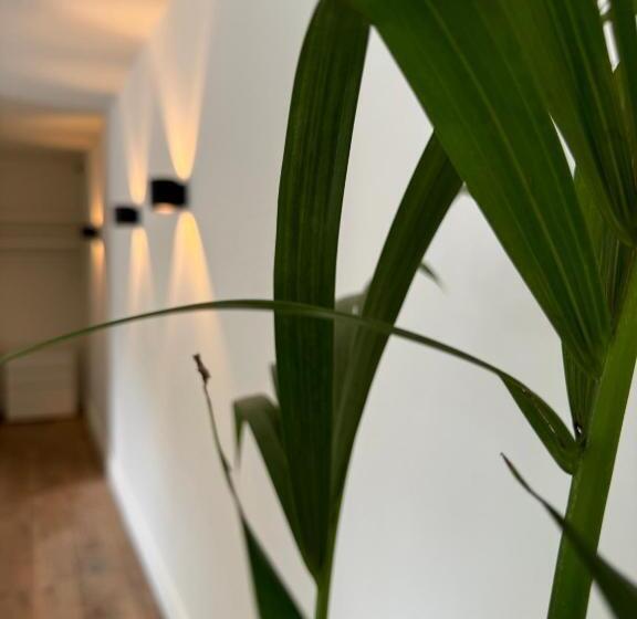 디럭스 룸, De Wilden Ezel