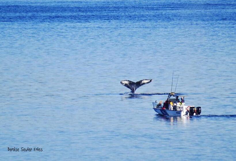 חדר מוזל עם נוף לים, Above Tide Motel