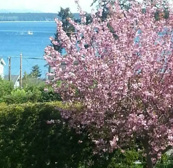 キングサイズベッドのスタンダードルーム, By The Sea Bnb Sidney Bc