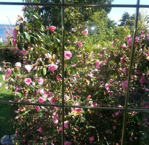 חדר סטנדרט עם מיטת קינג, By The Sea Bnb Sidney Bc