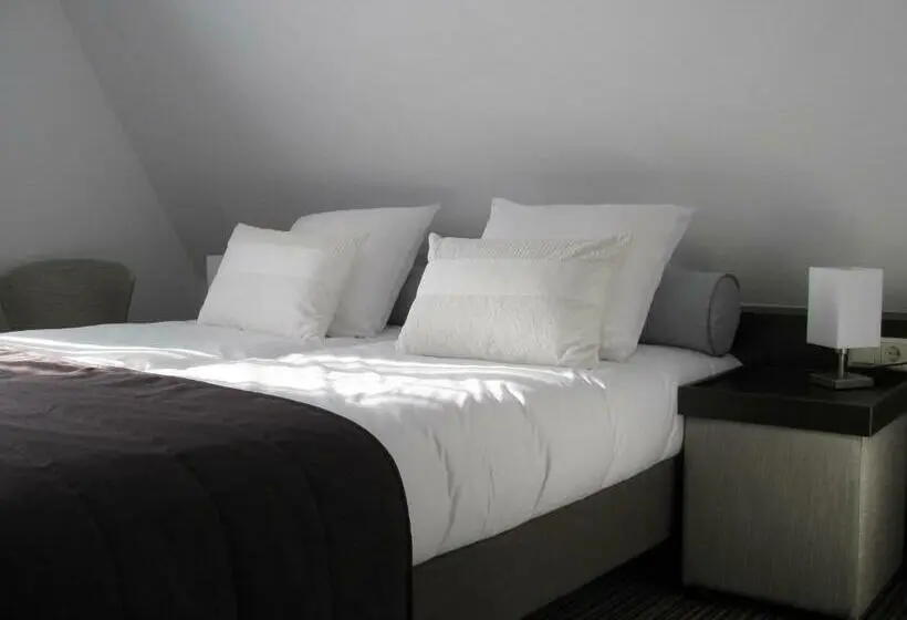 デラックスルーム, Appartementen De Zwaluw