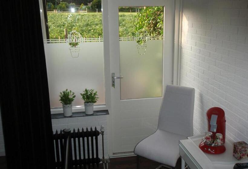 スタンダードシングルルーム, Buxus