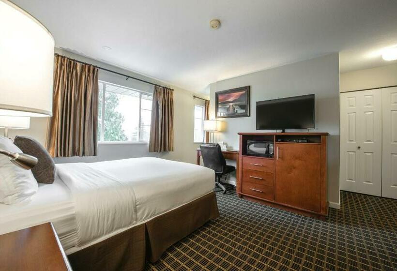 Standart Oda, Gibsons Garden