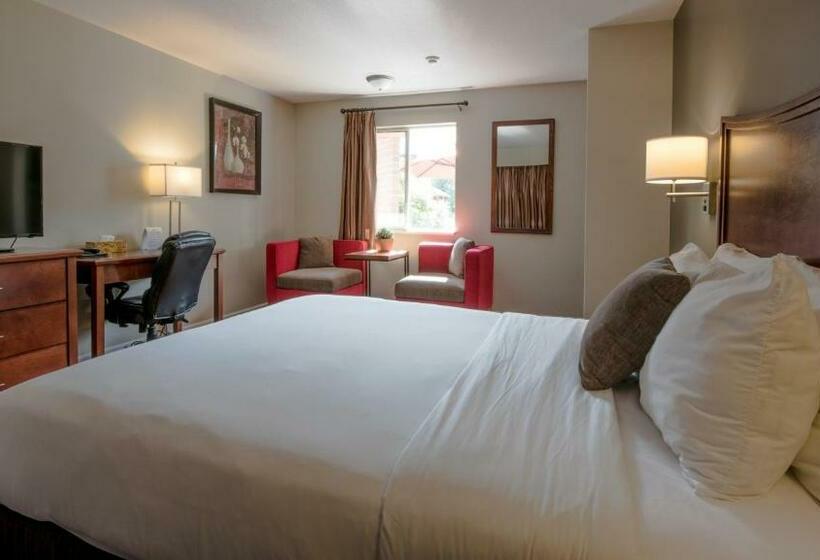 Standart Oda, Gibsons Garden