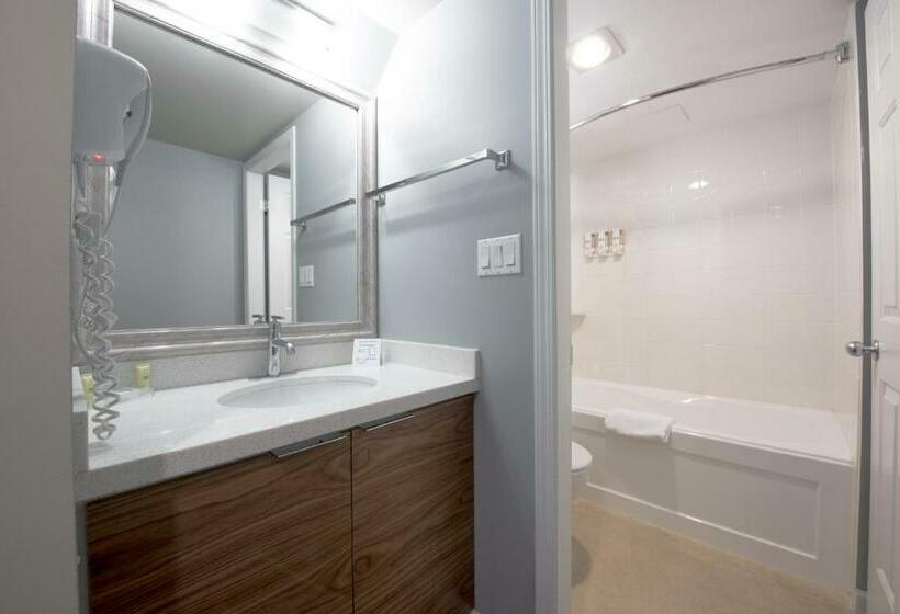 Standart Oda, Gibsons Garden