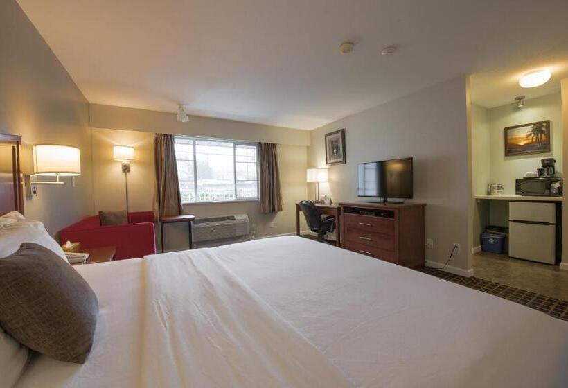 Büyük Çift Kişilik Yataklı Standart Oda, Gibsons Garden