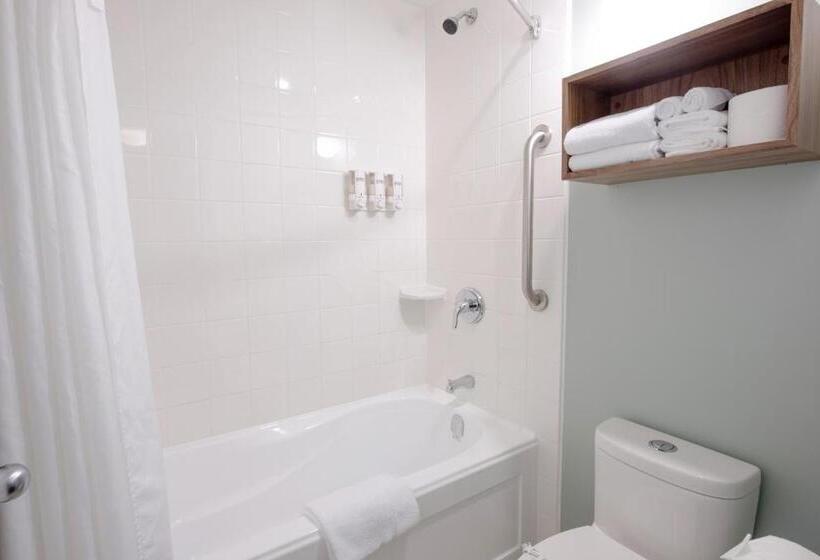 Büyük Çift Kişilik Yataklı Standart Oda, Gibsons Garden