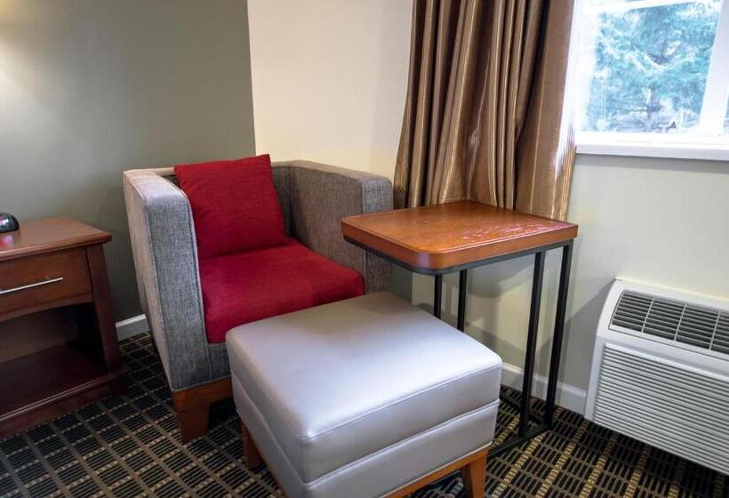 Büyük Çift Kişilik Yataklı Delüks Oda, Gibsons Garden