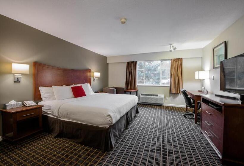 Büyük Çift Kişilik Yataklı Delüks Oda, Gibsons Garden