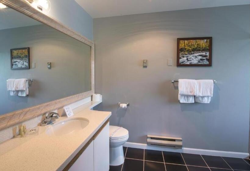 Deluxe Suite King Bed, Gibsons Garden