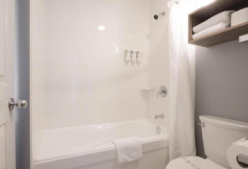 Aile Süiti, Gibsons Garden