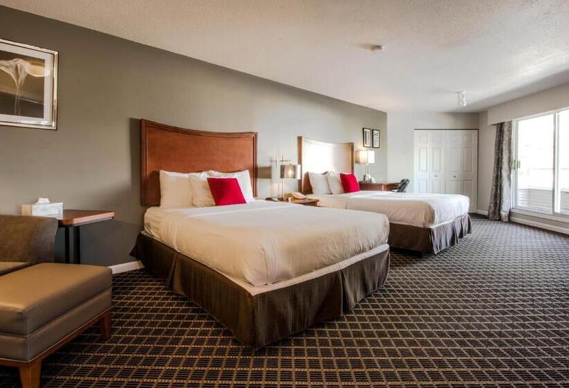 Aile Süiti, Gibsons Garden