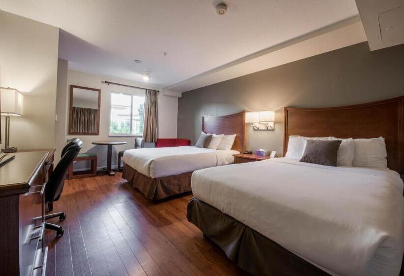 Delüks Oda, Gibsons Garden