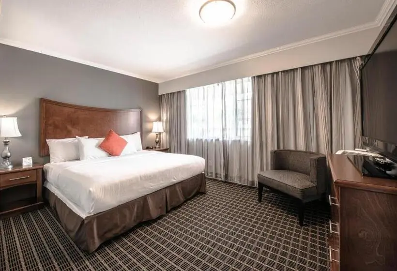 Executive-sviitti, Gibsons Garden