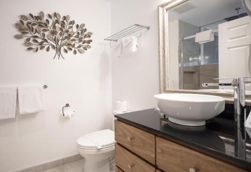 Büyük Çift Kişilik Yataklı Standart Oda, Gibsons Garden