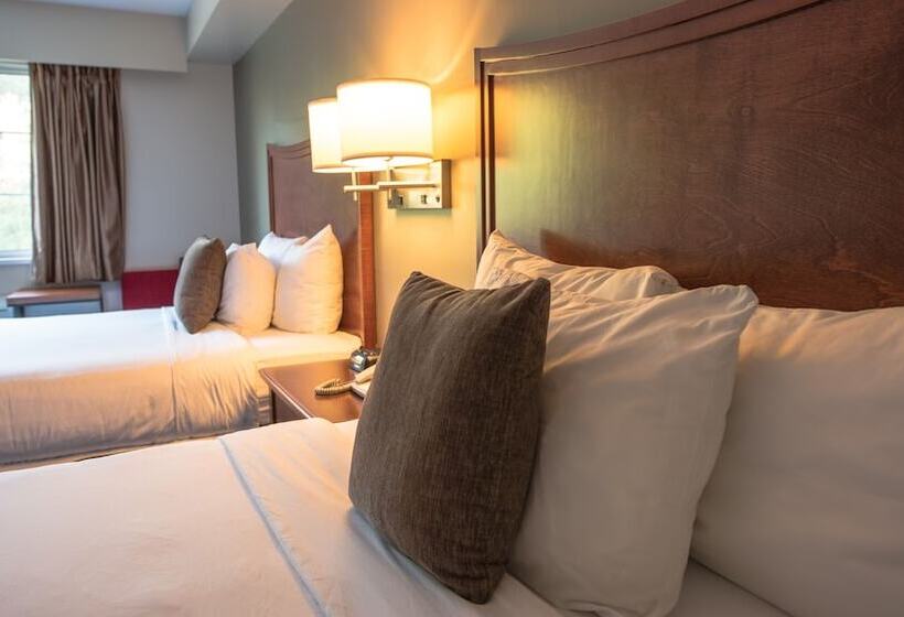 İki Çift Kişilik Yataklı Standart Oda, Gibsons Garden