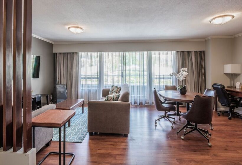 Executive-sviitti, Gibsons Garden