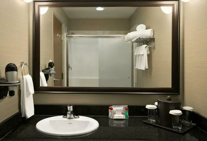 Deluxe-huone, Ramada by Wyndham Conklin
