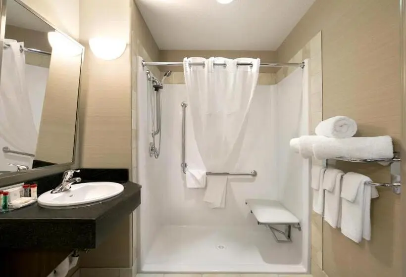 Standard-invahuone King-vuode, Ramada by Wyndham Conklin