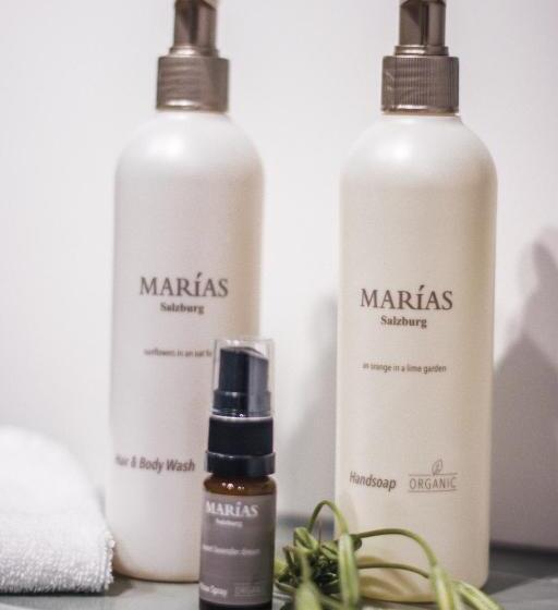 חדר סטנדרט, Witte Berken Natuur