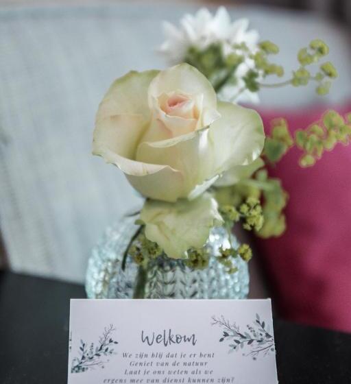 חדר דלוקס, Witte Berken Natuur