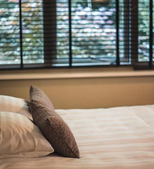 חדר דלוקס, Witte Berken Natuur