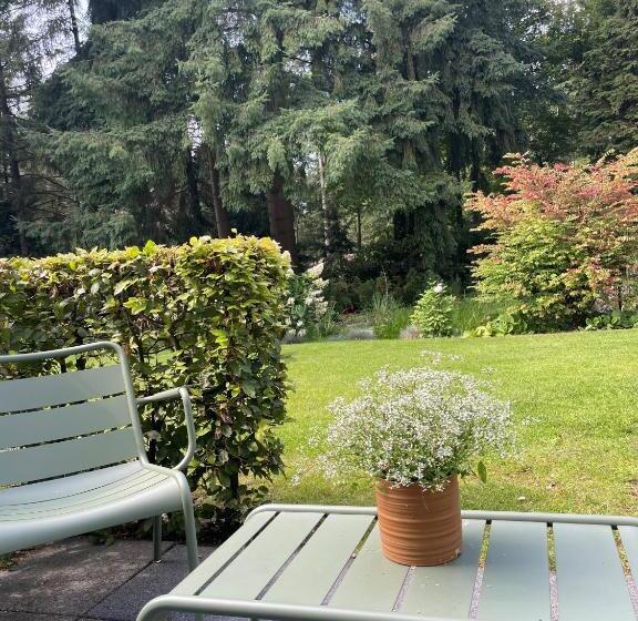 חדר סטנדרט עם טרסה, Witte Berken Natuur