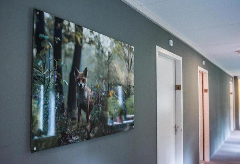 חדר סטנדרט עם טרסה, Witte Berken Natuur