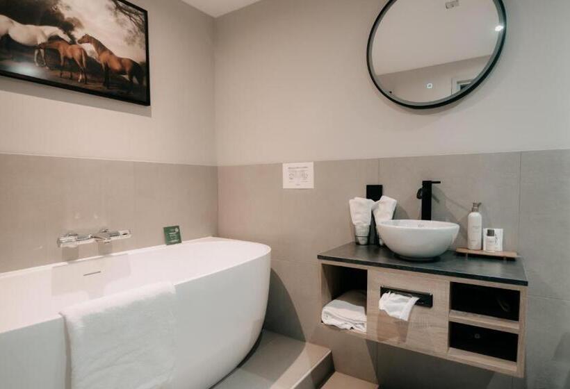 חדר סטנדרט, Witte Berken Natuur