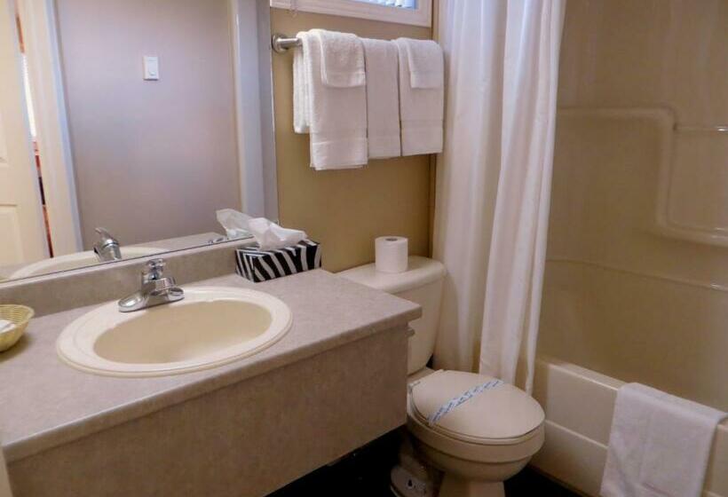 スーペリアールーム, Motel Alexandrin