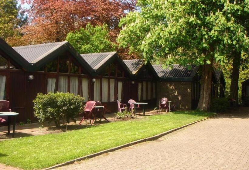 غرفة قياسية ثلاثية, Motel Oostvoorne