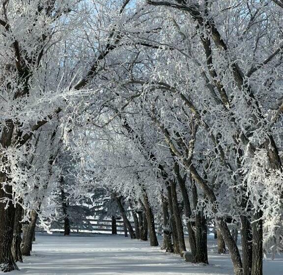 غرفة ديلوكس, Rolling Hills Country Resort Bed And Breakfast