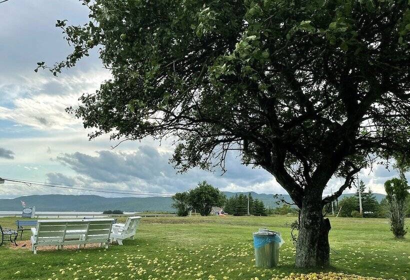 غرفة قياسية, Sea Breeze Motel