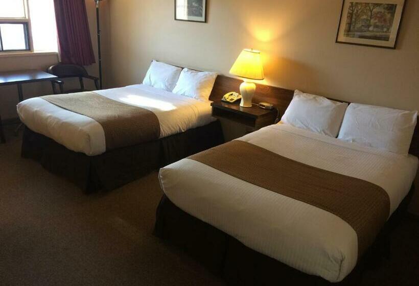 غرفة قياسية, Siesta Motel