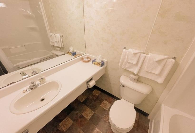 غرفة قياسية, Silverwood Motel