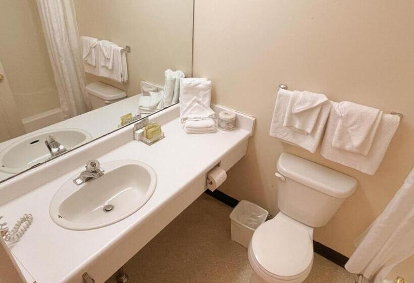 キングサイドベッドのスタンダードワンルーム, Silverwood Motel