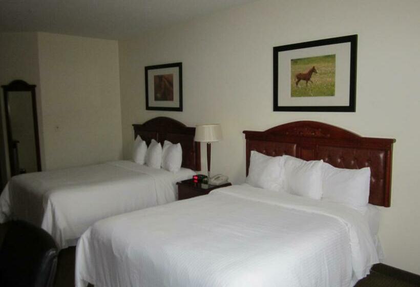 חדר סטנדרט, Trend Mountain Hotel & Conference Centre