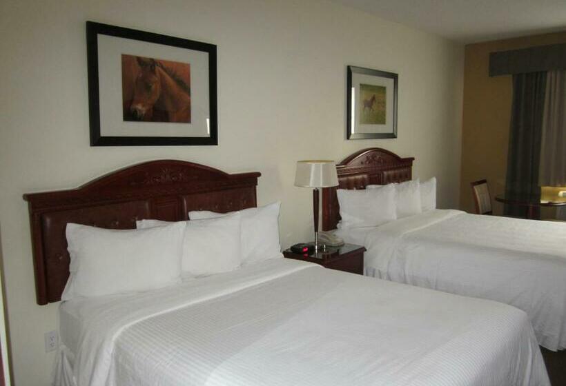 חדר דלוקס, Trend Mountain Hotel & Conference Centre