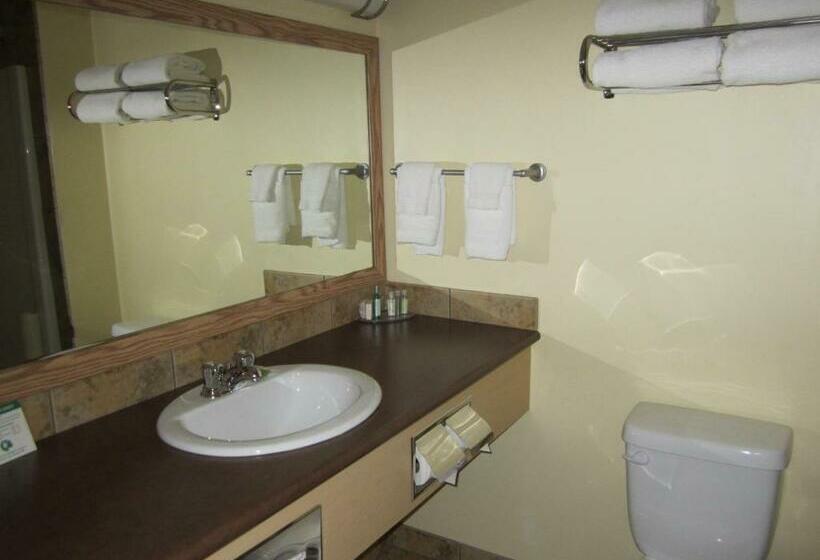 חדר דלוקס, Trend Mountain Hotel & Conference Centre