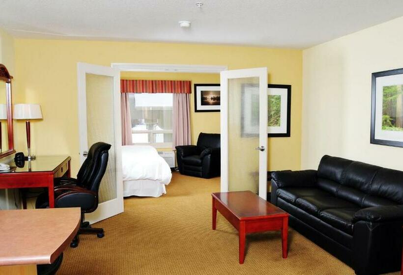 מיטת קינג בסוויטה, Trend Mountain Hotel & Conference Centre