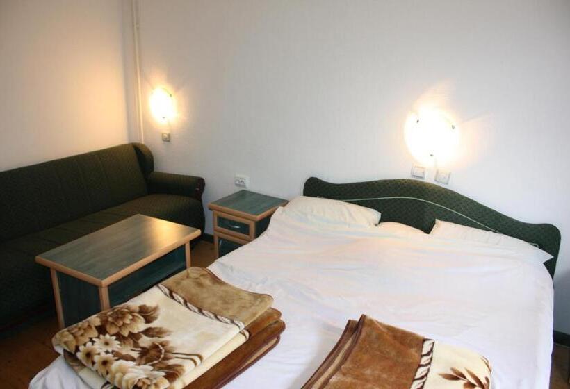 استودیوی استاندارد, Guesthouse Kraljica