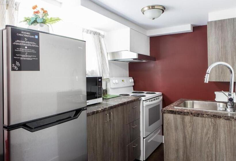 Номер Стандарт, Auberge Motel La Référence