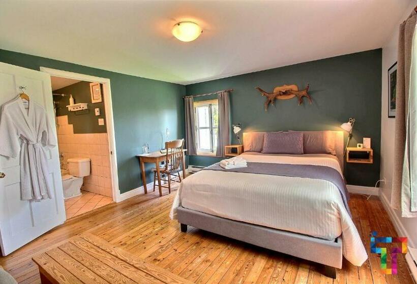 חדר סופריור, Almatoit