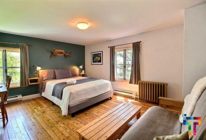 Номер Superior, Almatoit