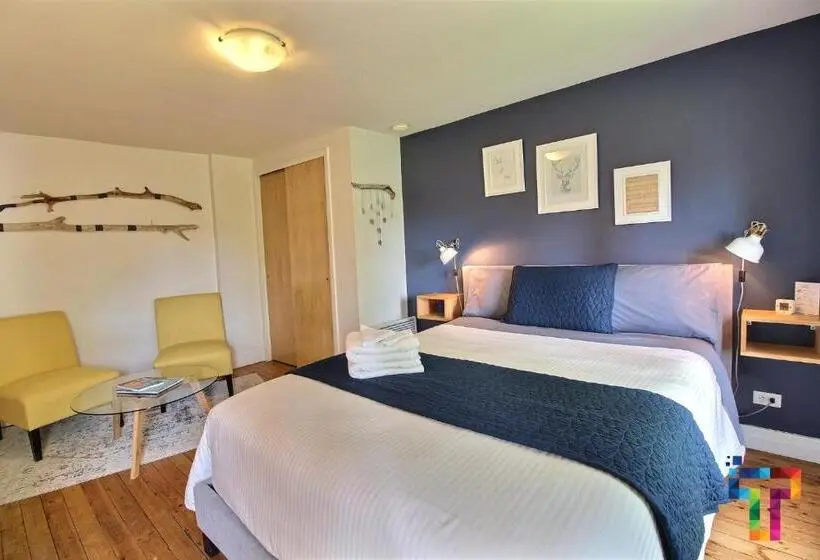 Superior Kamer, Almatoit