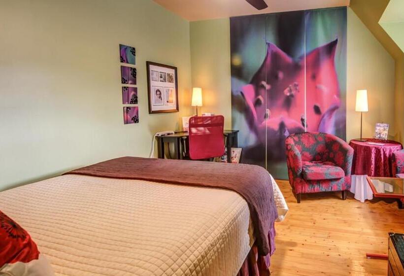 스탠다드 룸, Chateau Murdock Gite Et Esthétique 1950