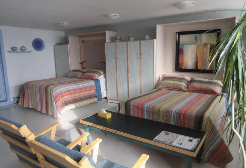 آپارتمان 1 خوابه با چشمانداز استخر, Gîte Saint Laurent