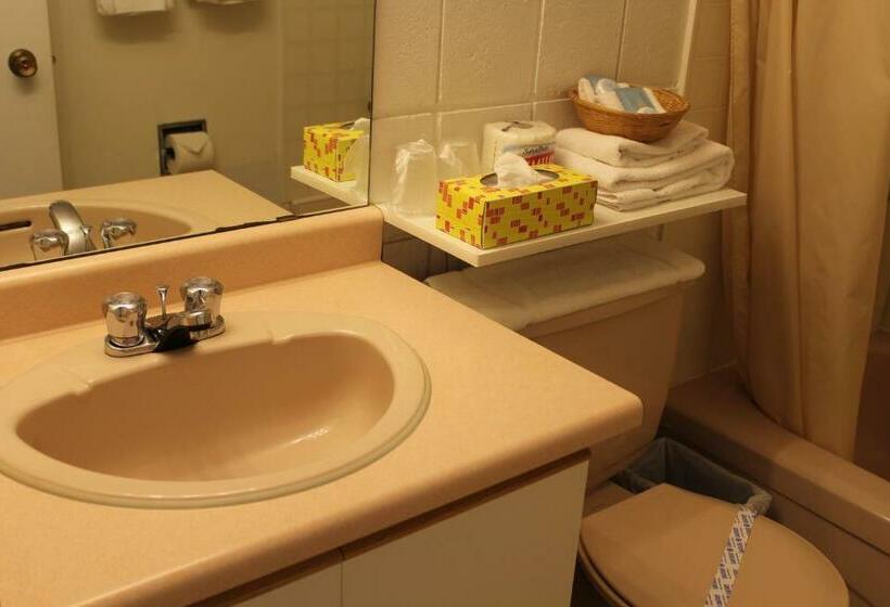 Номер Стандарт, Best Continental Motel