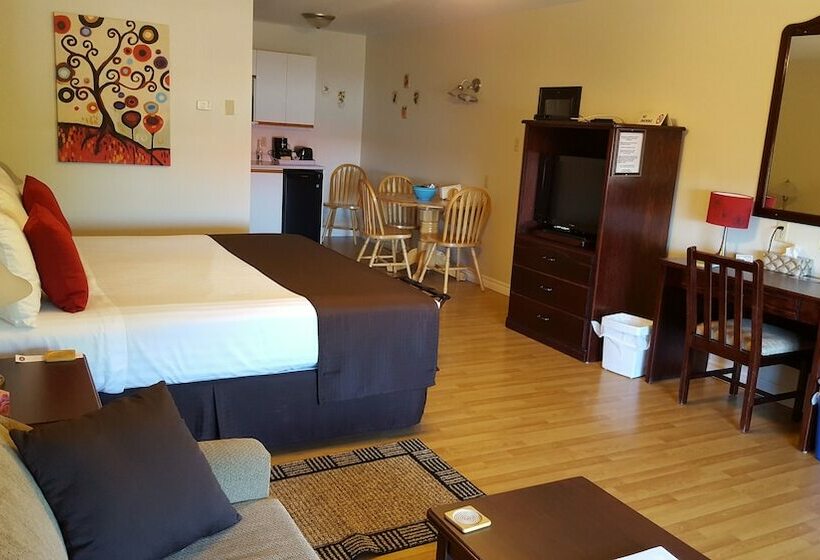 高级工作室, Harmony B&b & Suites